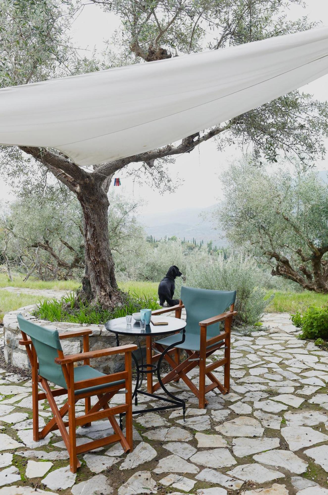 Villa Rizes à Psárion Extérieur photo